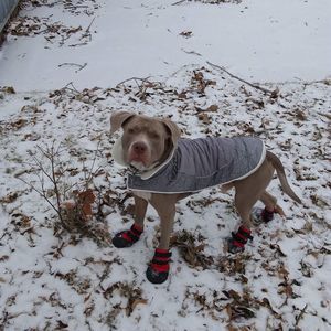 Meet your Posher, Barb schmidt